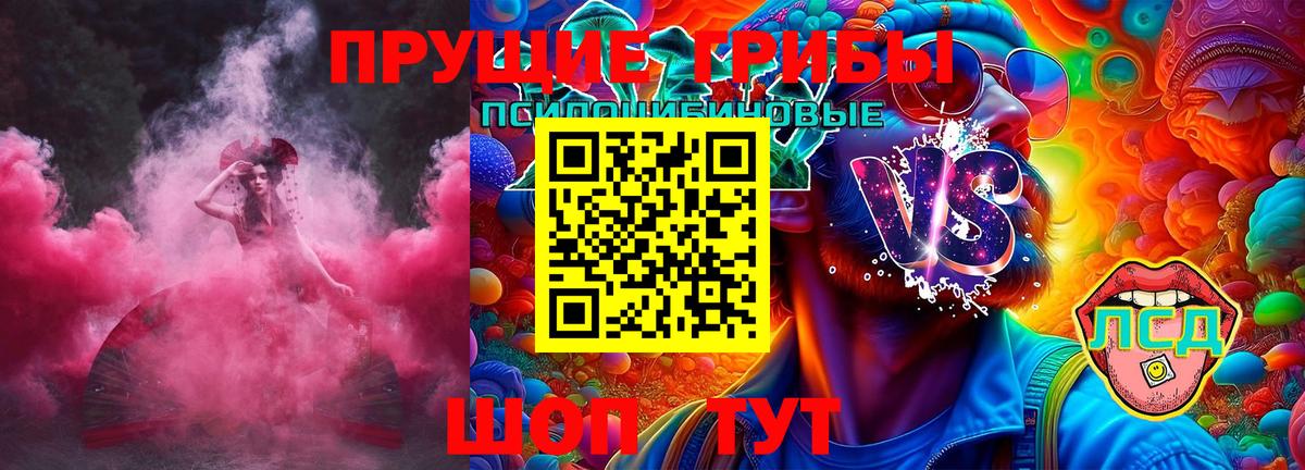 Галлюциногенные грибы Psilocybe Геленджик